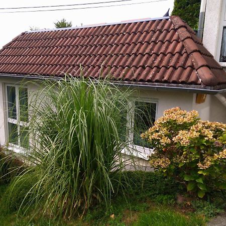Ferienwohnung Im Naturpark Rhein-Westerwald Rengsdorf Exterior foto