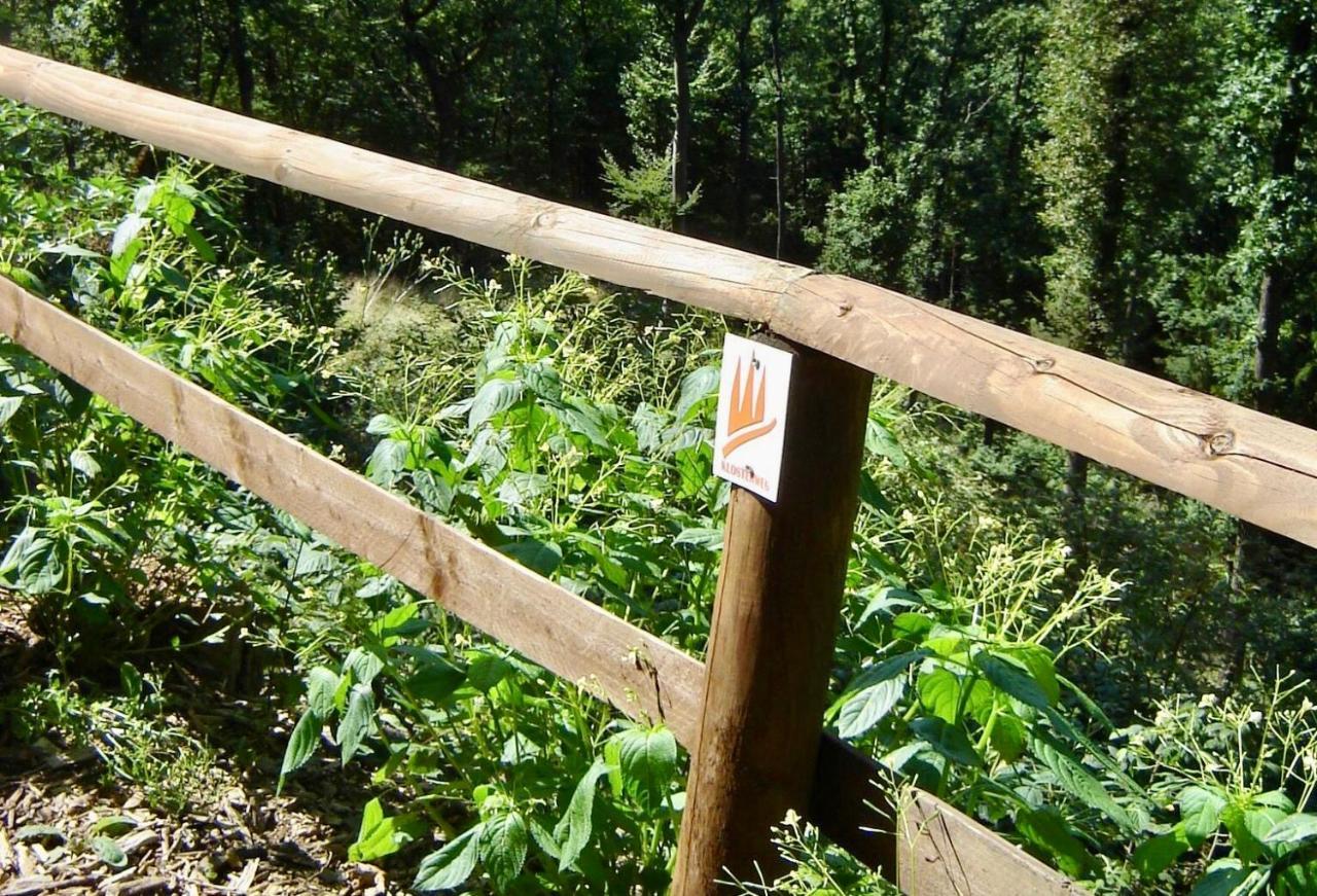 Ferienwohnung Im Naturpark Rhein-Westerwald Rengsdorf Exterior foto